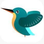 kingfisher pro app